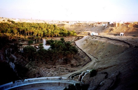 LA CORBEILLE DE NEFTA