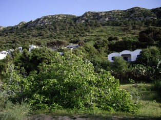 La colline dominant Raf-Raf