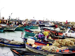 Départ à la pêche sur le port de Ghar El Melh (Porto Farina)