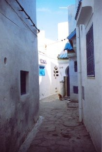 architecture arabe et andalouse du vieux Hammamet