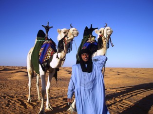 Le Mhari: le plus noble des chameaux