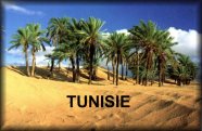 Oasis dans le d�sert