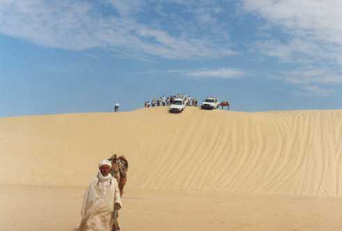 excursions et randonn�es � dos de dromadaires