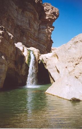 tamerza chebika