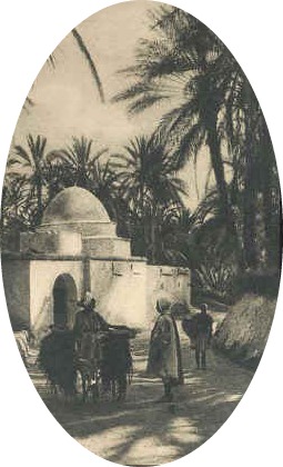 Sidi Bou Ali Nefta Tunisie