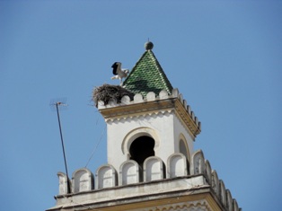 Bja, pays des cigognes