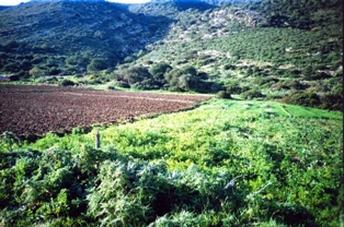 autour de Bizerte rgion raf raf