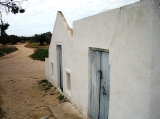 Habitation à Djerba