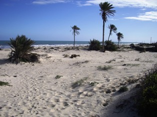 Plage de sable fin à El Kantara Djerba