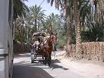 tourisme en tunisie