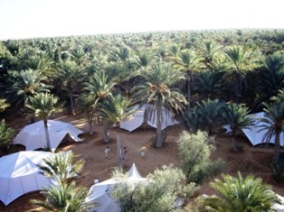 Tentes Pan Sea au milieu des palmiers