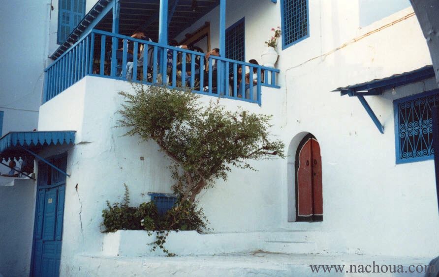Tunisie: café des nattes à Sidi Bou Saïd