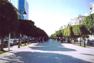 L'Avenue