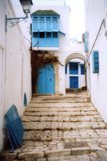 architecture de sidi bou said