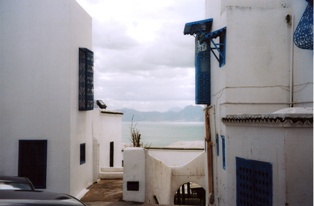 photo architecture sidi bou said