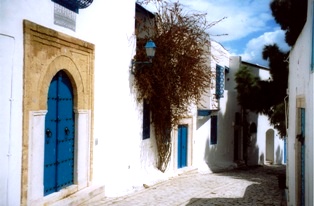 photo architecture andalouse sidi bou said